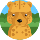 Cheetah, the fastest land animal