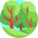 Amazon Rainforest