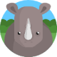 Africa's black rhinoceros